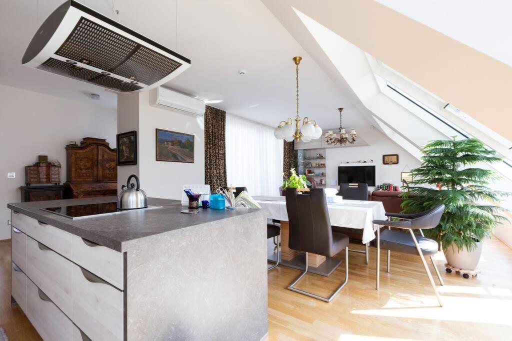 Grosses Penthouse #12 Mit Terrasse Und Aussicht Apartment Wien Ngoại thất bức ảnh