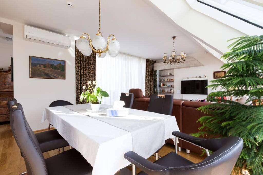 Grosses Penthouse #12 Mit Terrasse Und Aussicht Apartment Wien Ngoại thất bức ảnh